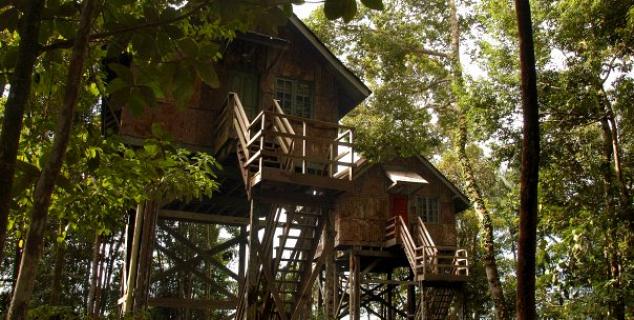Treehouse