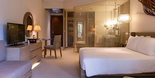 Tropical Garden View Room