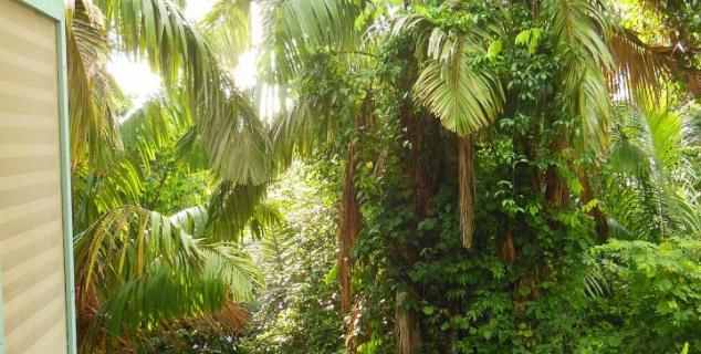 View from Main House Master Bedroom