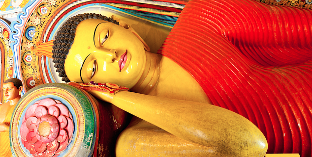 Visit Dambulla