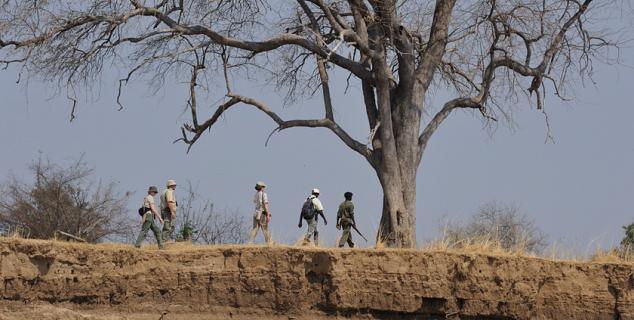 Walking from Tafika Camp