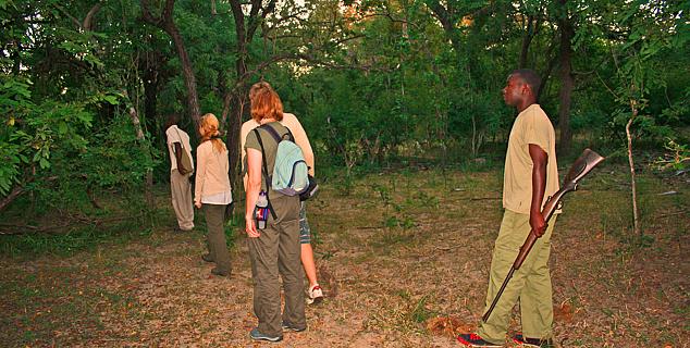 Walking safari