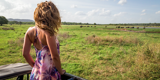 Watching elephants at Minneriya