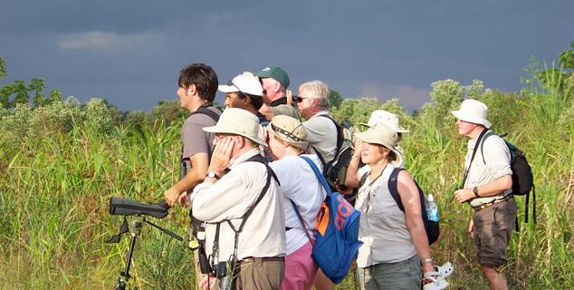 Wildlife spotting ashore