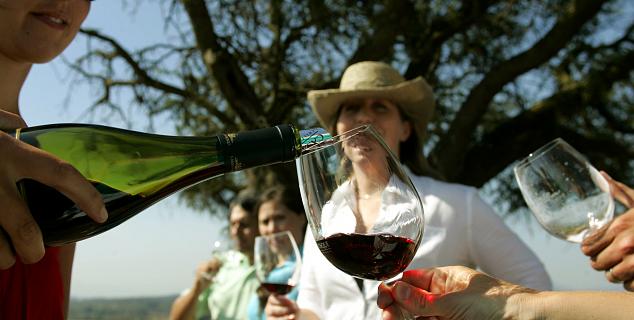 Wine Tasting, Casablanca Valley